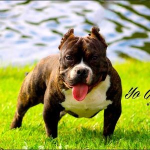 Meet your Posher, Nate